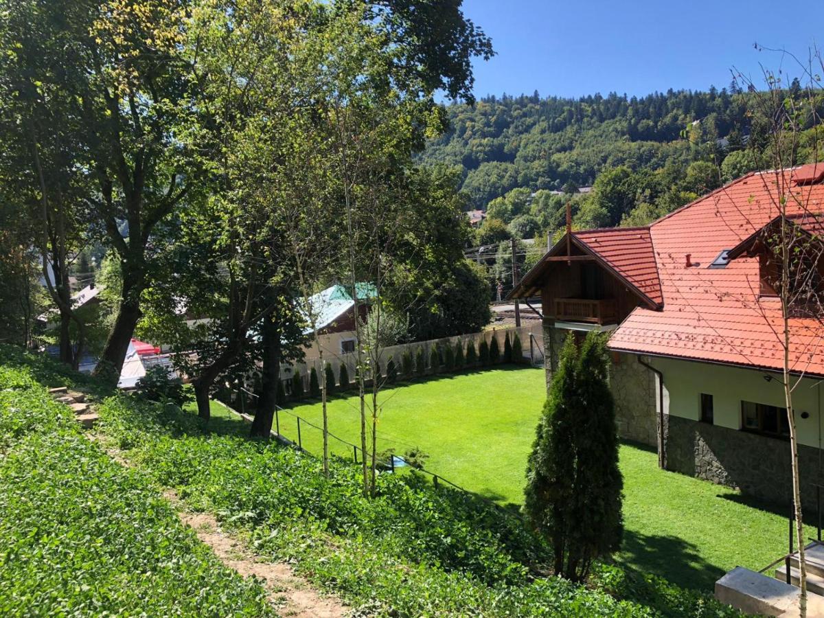 Pensiunea Piscul Cainelui Bed & Breakfast Sinaia Exterior photo