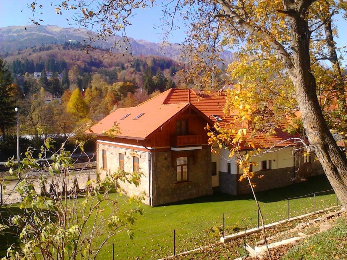 Pensiunea Piscul Cainelui Bed & Breakfast Sinaia Exterior photo